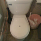 Illustration for article titled Twitter Toilet Tweets Your Poo